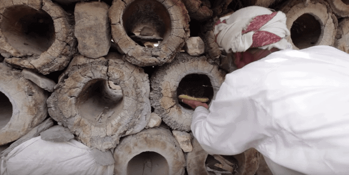 Beekeeping in Oman - Tubl
