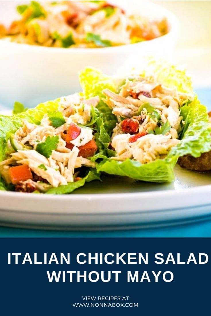 Italian Chicken Salad Without Mayo Recipe - Nonna Box