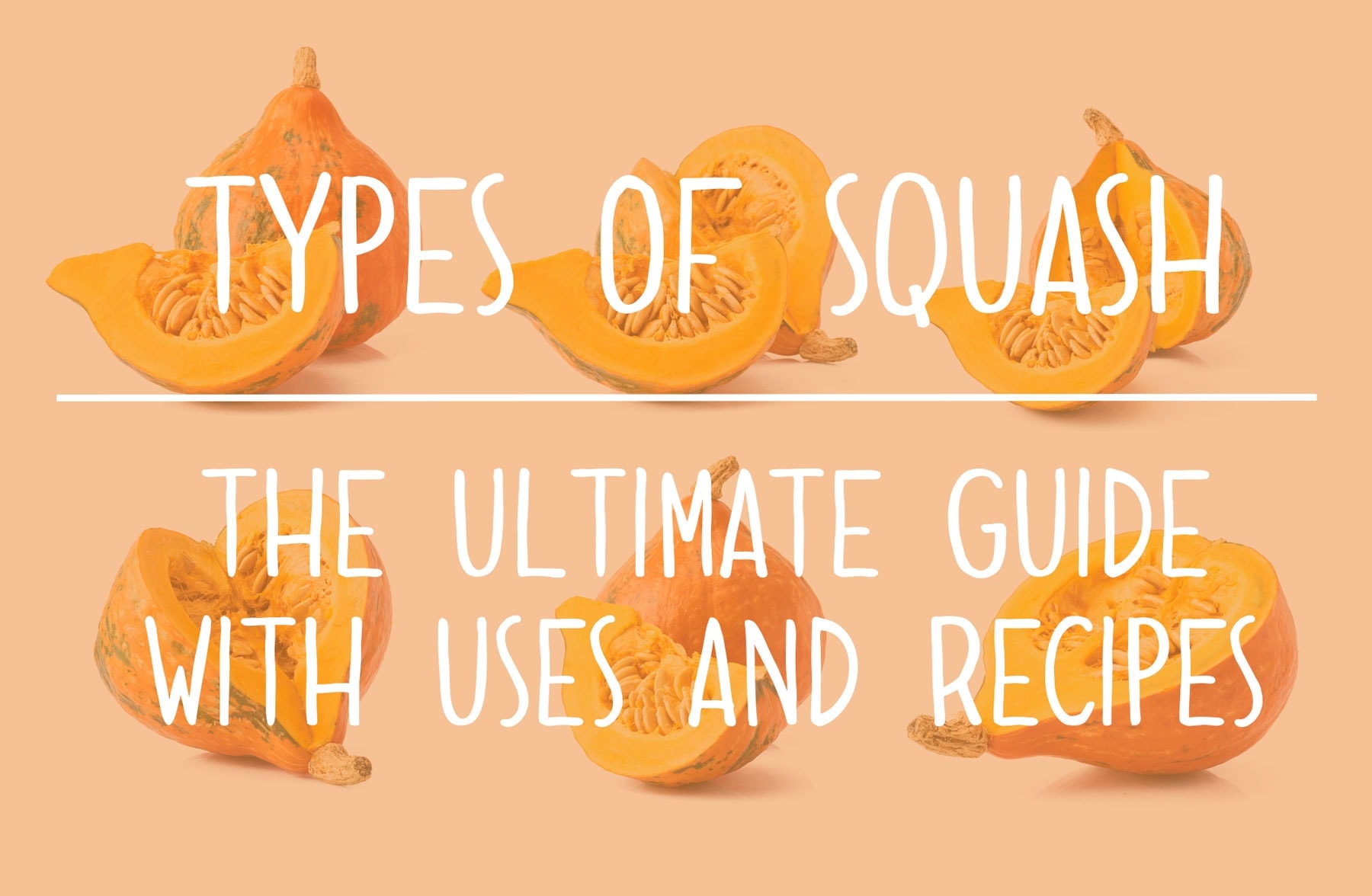 Types of Squash the Ultimate Guide of Squash Varieties