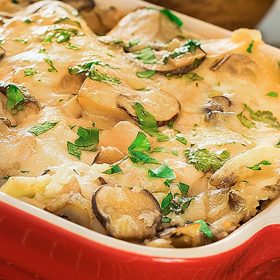 mushroom lasagna recipe