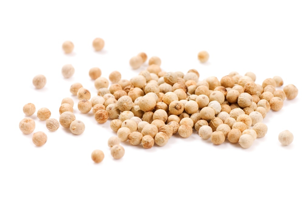 White pepper isolated